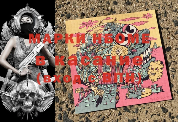 прущие грибы Алзамай