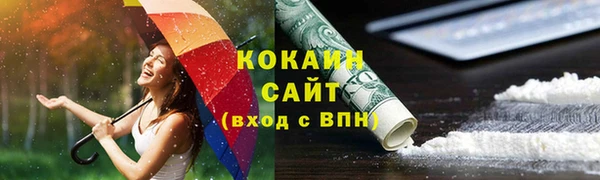 прущие грибы Алзамай