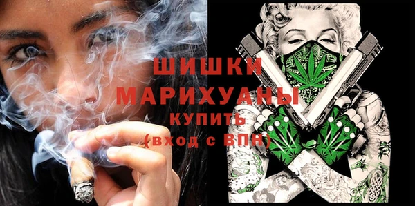 дмт Абаза