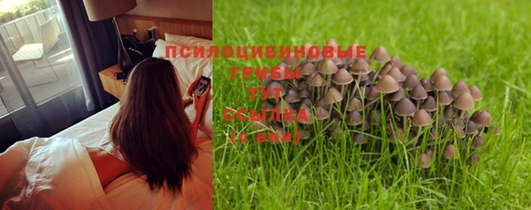 мет Абинск