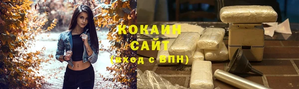 дмт Абаза