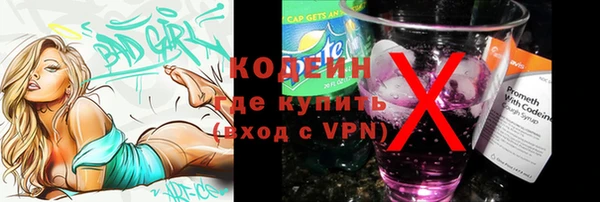 дмт Абаза